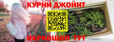 гидра Гусиноозёрск