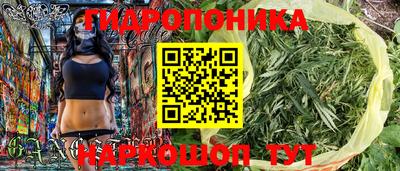 прущие грибы Гусев