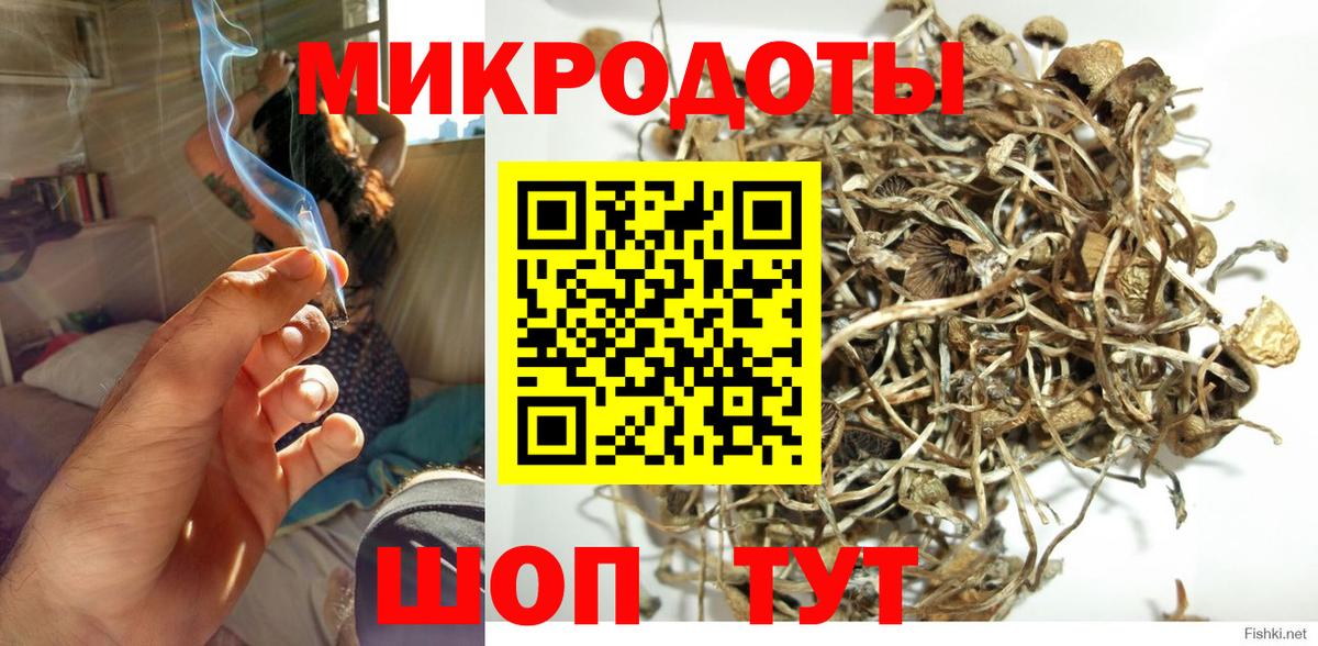 Нефтекумск  Галлюциногенные грибы MAGIC MUSHROOMS  Вход с VPN 