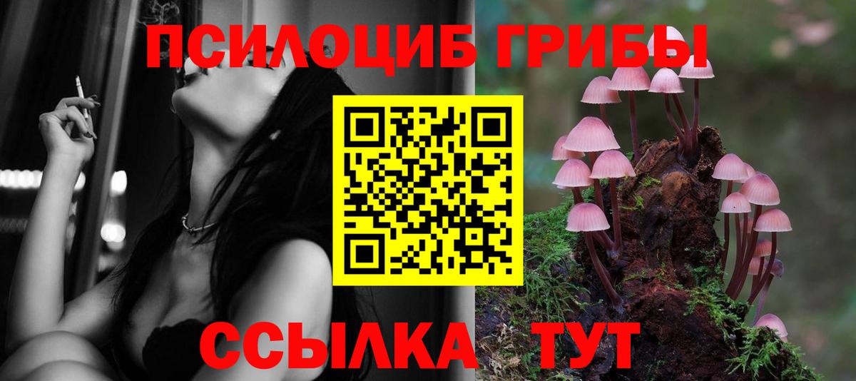 Галлюциногенные грибы Psilocybe Нефтекумск